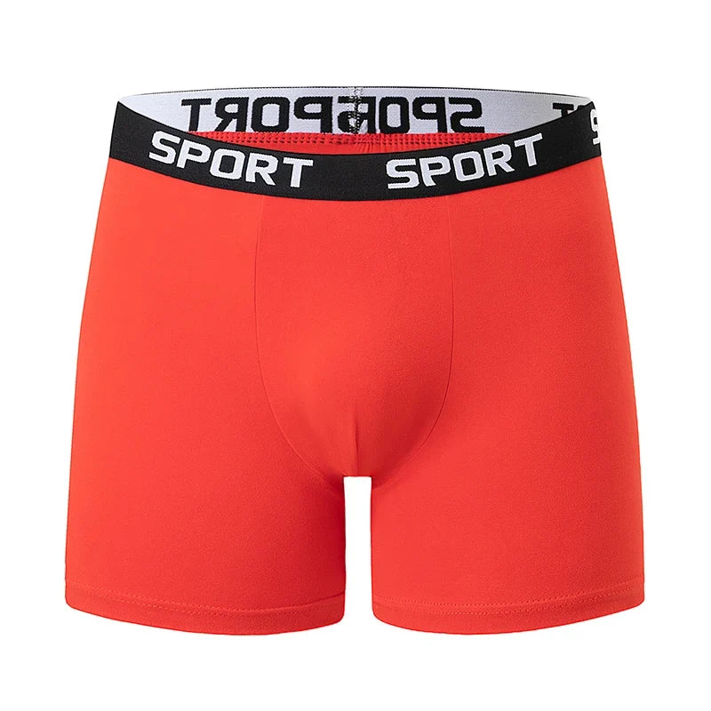 5-piece Set Of Solid Color Fashionable Simple Sports Long Underwear Comfortable Plus Size Flat Corner Pants Cycling Base Shorts